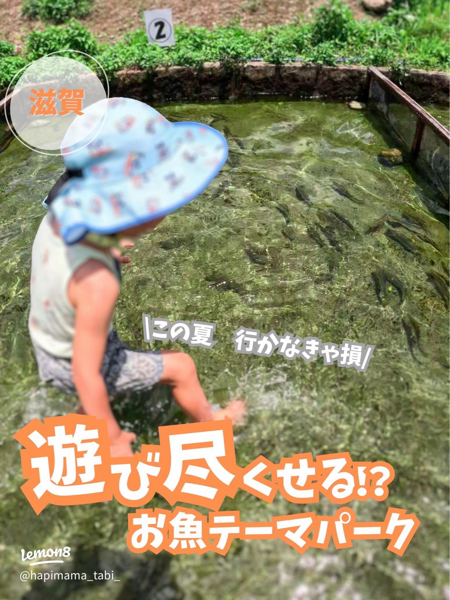 🎣 남향 수산 센터(난고 스이산 센타) 이미지 9